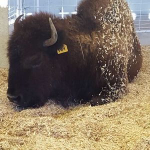 Meet your Posher, Bill